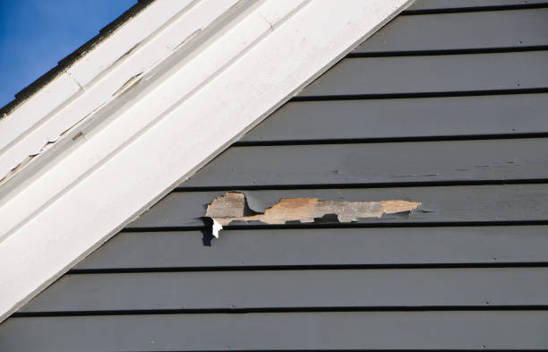 How To Choose The Right Materials for Your Siding Installation in 'Altavista, VA