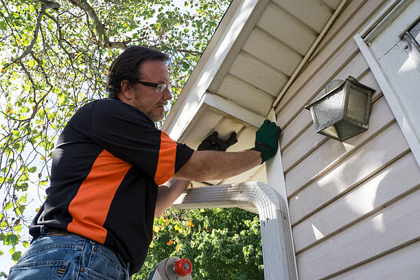 Historical Building Siding Restoration in Altavista, VA